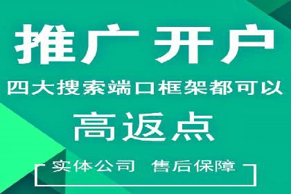 百度推广平台：从传统到数字营销的转型案例